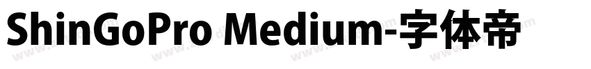 ShinGoPro Medium字体转换